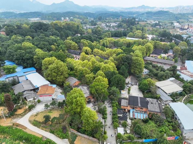 国庆节假期,贵州省遵义市新蒲新区3536文化创意园迎来旅.